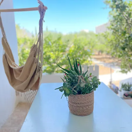 Lemon Tree House, Golden *