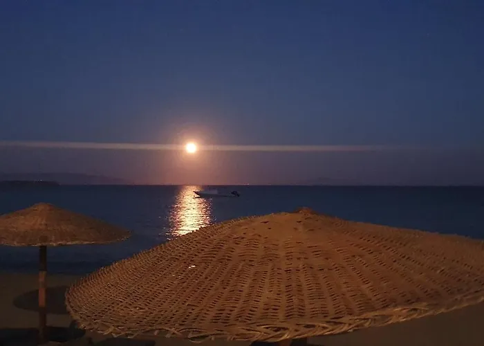 Lemon Tree House, Golden Lägenhet