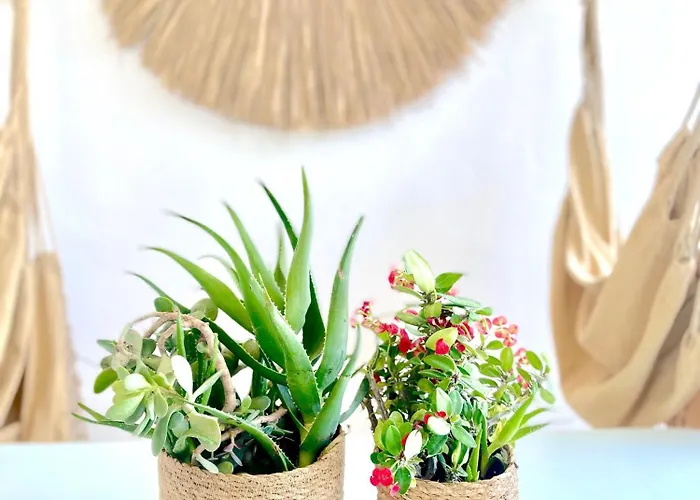 Lemon Tree House, Golden